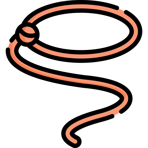 lasso